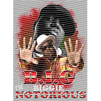 idol singer-GS  1373